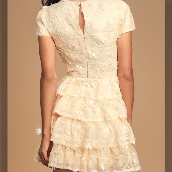 Worth The Wait Sequin Ruffled Mini Dress - Picture 5 of 7